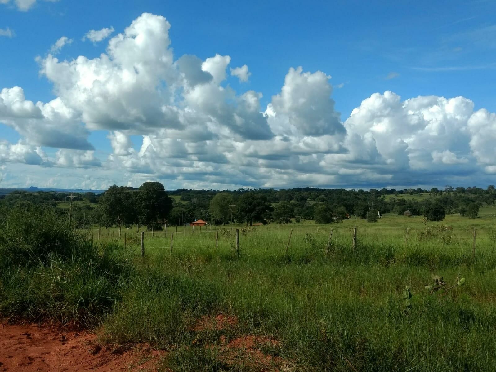 Imagem de compartilhamento para o artigo Veja como fica o tempo em Costa Rica, Chapadão do Sul e Alcinópolis da MS Todo dia